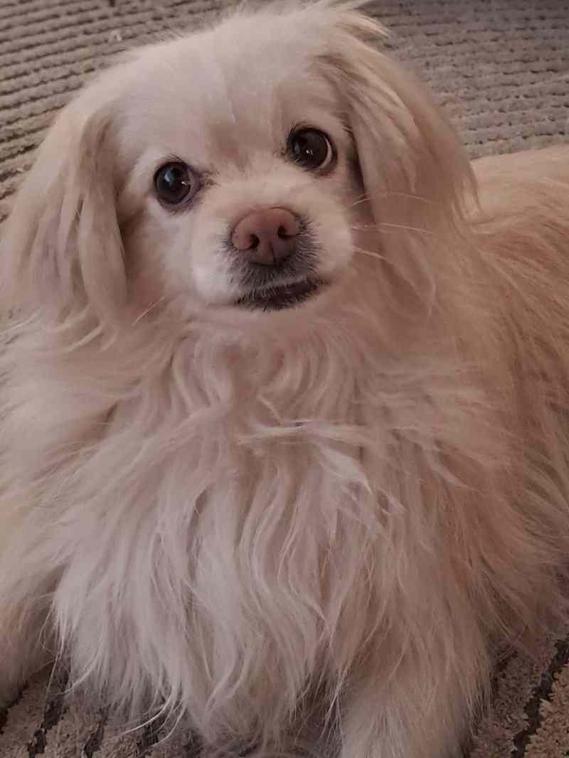 Client 10